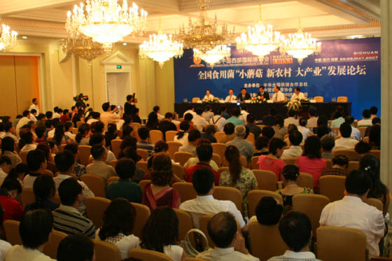 和记怡情娱乐官网 和记怡情娱乐官网